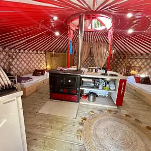 Ravissant Yourte Traditionnelle Tente de luxe